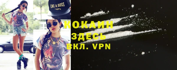 ГАЛЛЮЦИНОГЕННЫЕ ГРИБЫ Коряжма