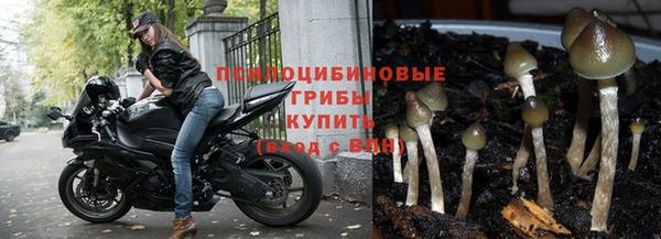 мет Костерёво