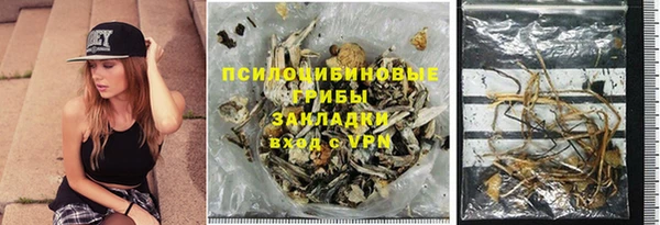 ГАЛЛЮЦИНОГЕННЫЕ ГРИБЫ Коряжма