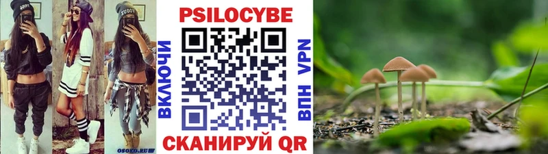 Купить закладки  Бежецк  Галлюциногенные грибы Magic Shrooms 
